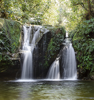 amazon rainforest peru