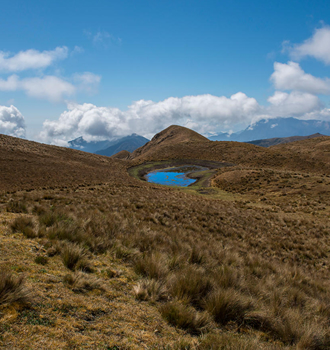 puna ecosystem in peru