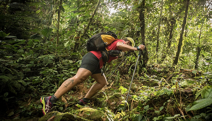 marathon-jungle-expedition