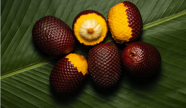 aguaje or moriche fruit