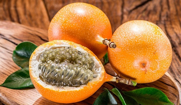 granadilla fruit in peru