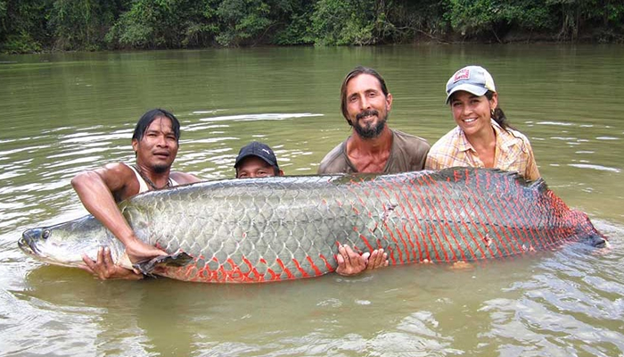 paiche-fishing-in-the-peruvian-amazon