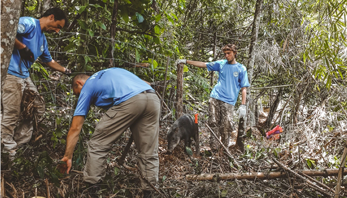 manu national park tours