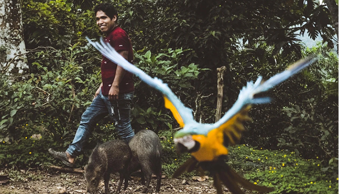 rescue center in manu national park