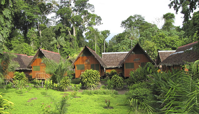 lodges in the peruvian jungle