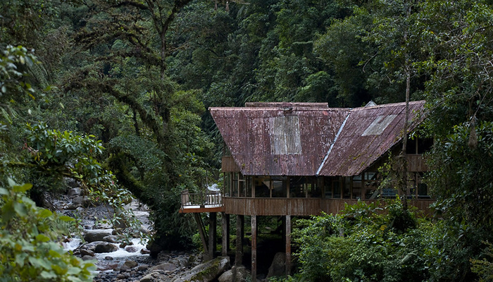 jungle tours close to cusco