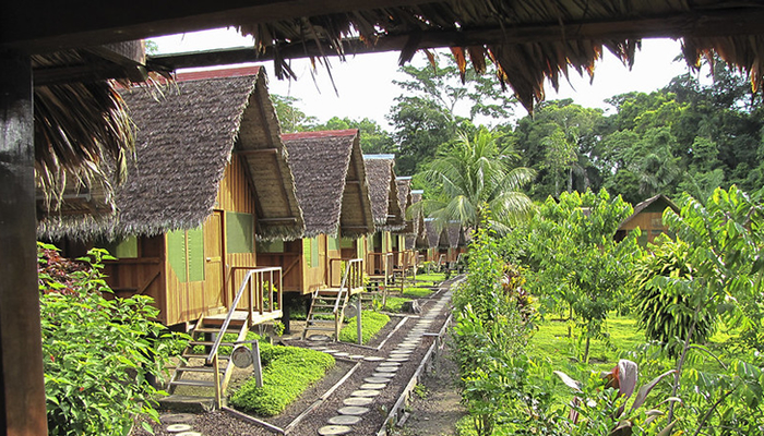 tours to the peruvian amazon
