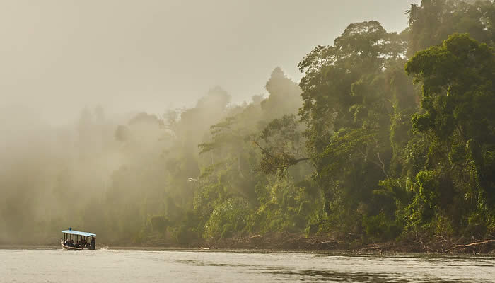 trips to manu national park