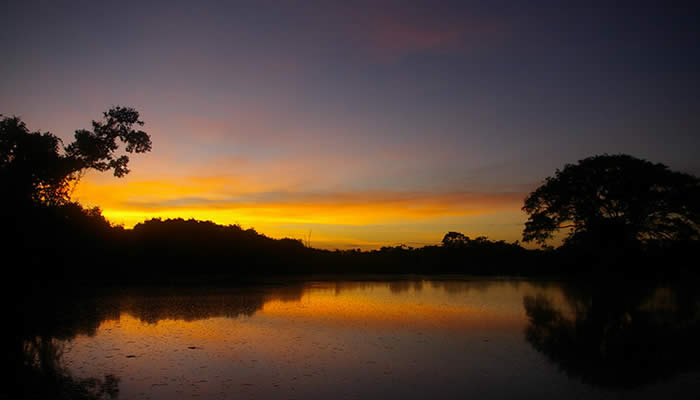 amazon peru tours