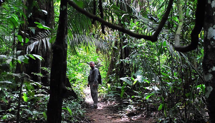 amazon rainforest tours