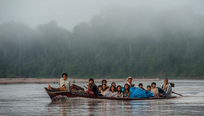 peru amazon forest tours