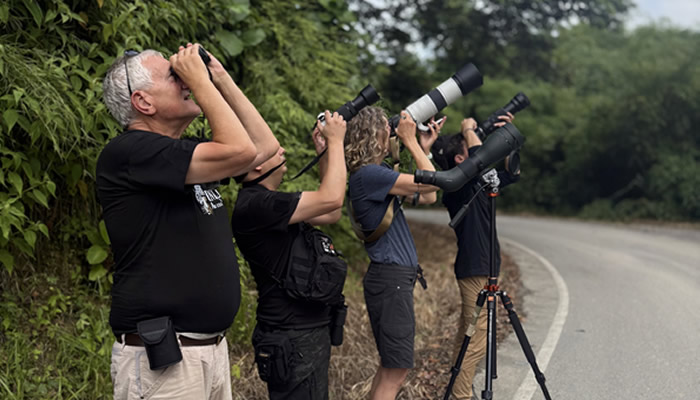 jungle tours from cusco peru