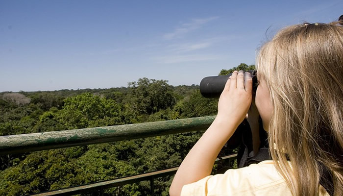canopy-walk-in-tambopata