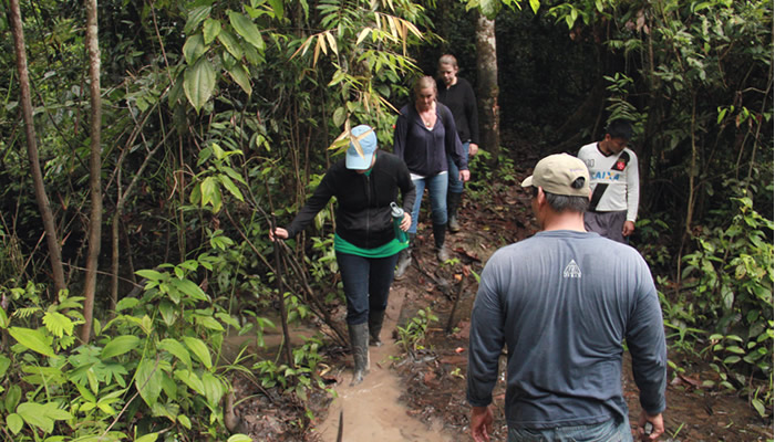 trails of manu national park