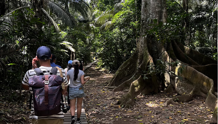 tambopata rainfoprest tours