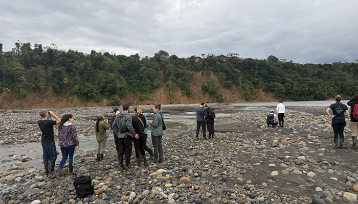 macaw clay lick peru
