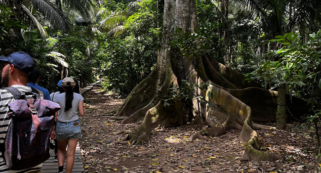 puerto maldonado tours