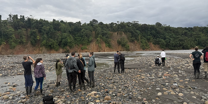 macaw clay lick in manu