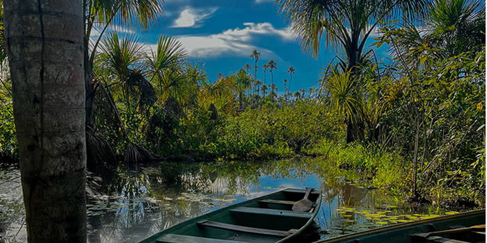 tambopata tours peru