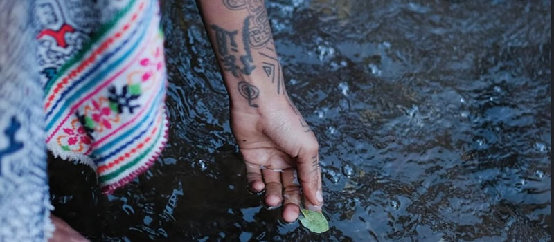 ayahuasca retreats with woman shamans