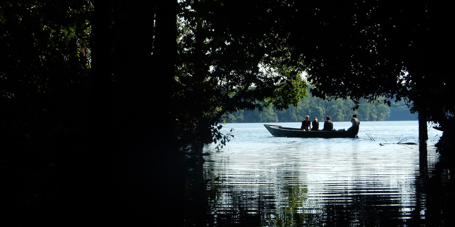 tambopata jungle tours