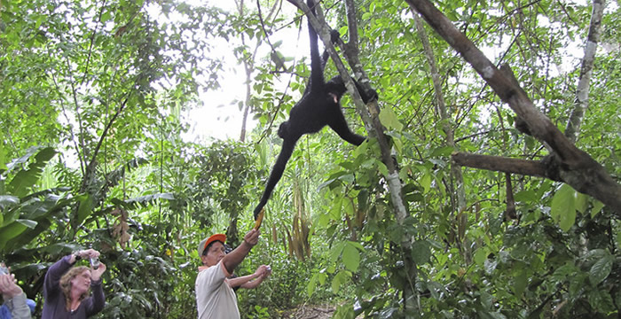 amazon puerto maldonado tour