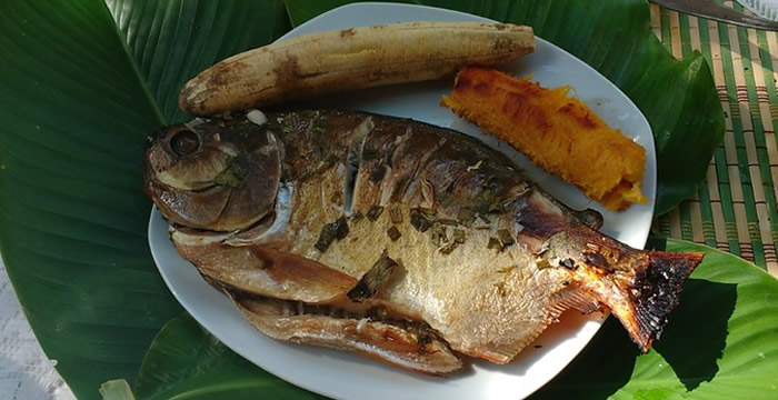 peruvian jungle dishes tour