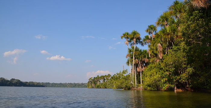 tambopata puerto maldonado tours