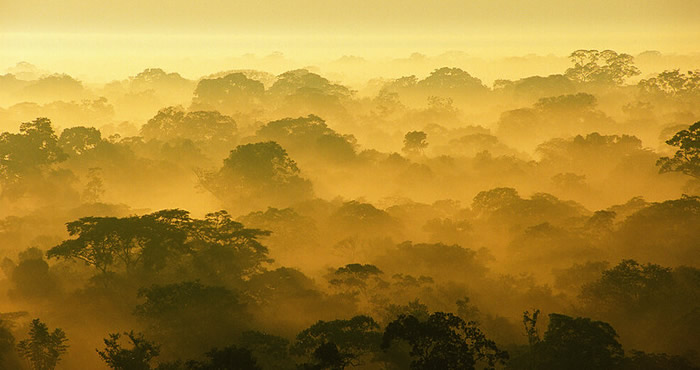 puerto maldonado jungle tours