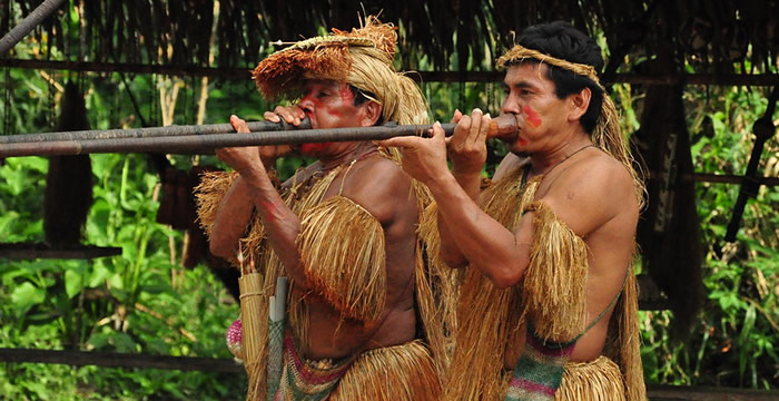 iquitos jungle tours