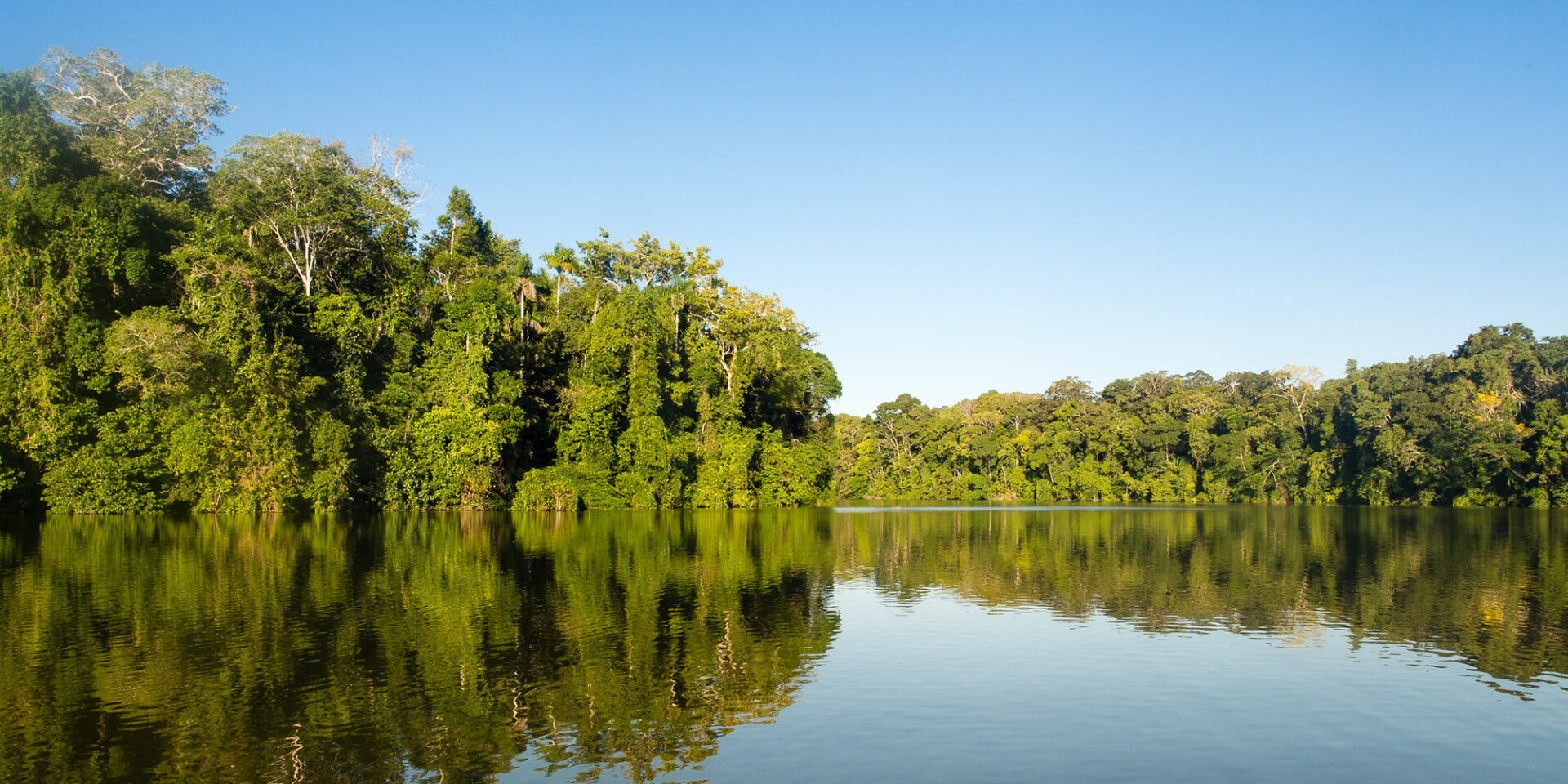peruvian amazon tours