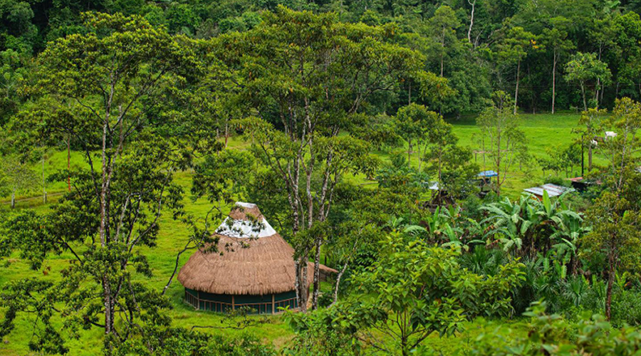 ayahuasca-retreats-near-cusco